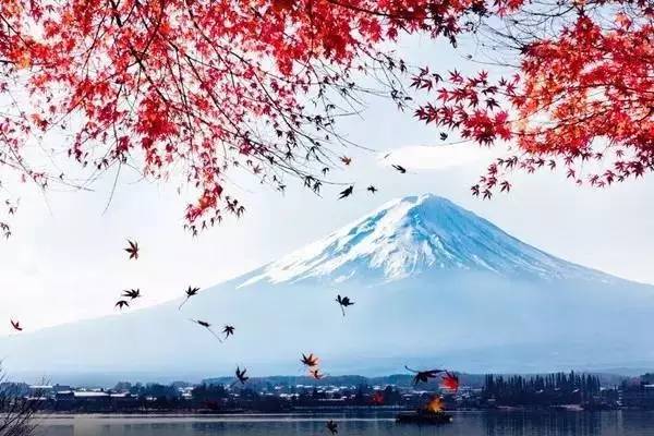 【上航移民签证攻略】2017年最新签证信息!